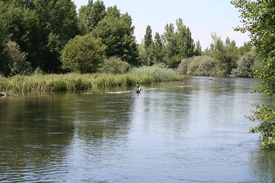 Dos pescadores dentro de un río ancho entre chopos y vegetación de ribera