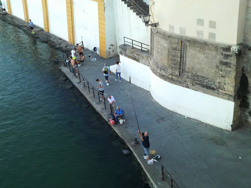 Pescadores con cañas en un muelle junto a un río ancho, vistos desde arriba