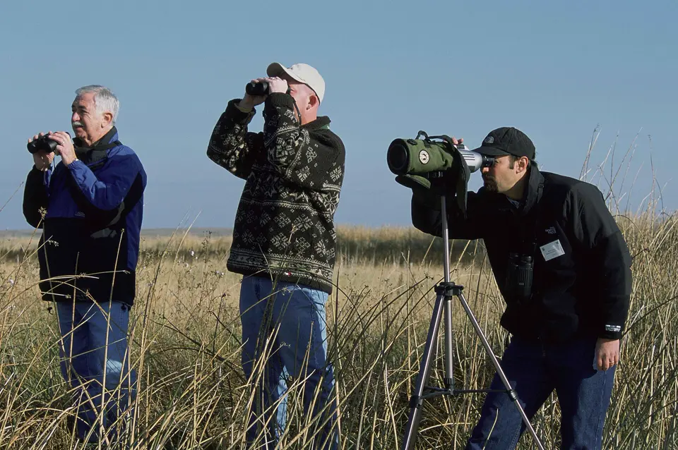 Tres personas observan aves con prismáticos y telescopio entre carrizos