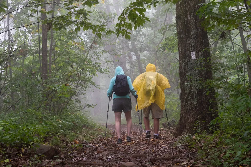 Dos senderistas con ropa impermeable avanzan bajo la lluvia por un bosque