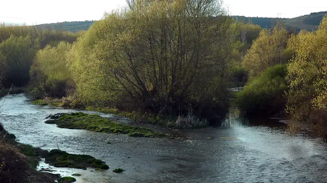 Confluencia de los ríos Omaña y Luna, León