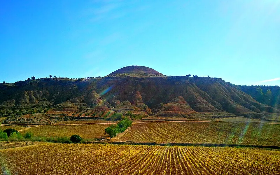 Campiña cultivada de Castilla-La Mancha