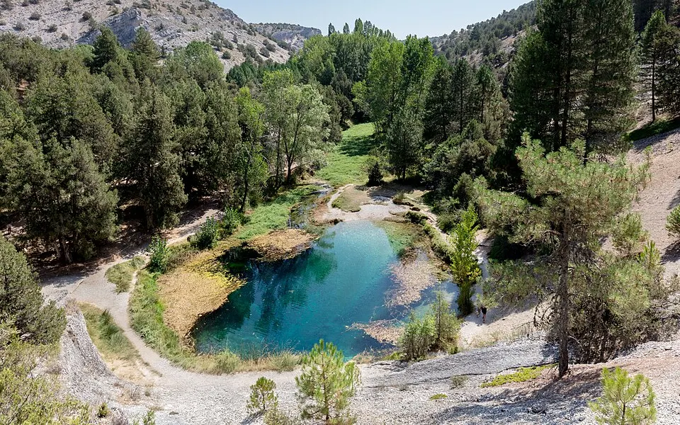 Manantial y bosque de ribera en La Fuentona de Soria