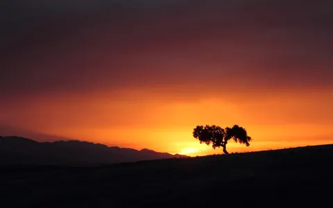 Dehesa de Extremadura
