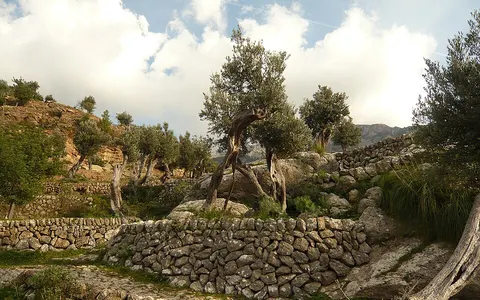 Paisaje de Deià en Mallorca